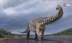 Avustralya'da kıtanın en büyük dinozoru keşfedildi