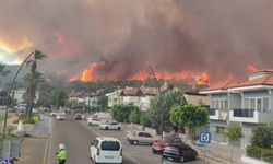 Marmaris'te ilk belirlemelere göre 1 fabrika, 27 ev ve 1 araç yandı