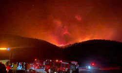 Milas'ta başlayan orman yangını Bodrum'a sıçradı, söndürme çalışmaları devam ediyor