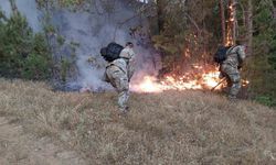 Kuzey Makedonya'da orman yangınlarına müdahale için ordu seferber oldu