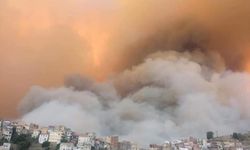 Cezayir'deki orman yangınlarında ölenlerin sayısı 42'ye yükseldi