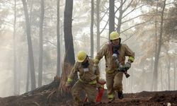 Orman Genel Müdürü Karacabey yangınlara ilişkin açıklamada bulundu