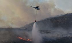 Orman Genel Müdürlüğü: Bugün çıkan 7 orman yangınının tamamını kontrol altına aldık