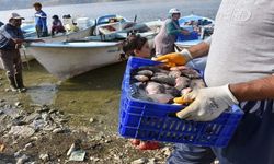 Çayırhan Gölü'nde balıkçılar "Vira Bismillah" dedi