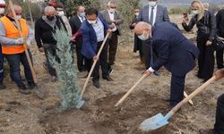 Başkan Altınok Melis Şimşek Hatıra Ormanı'na fidan dikti