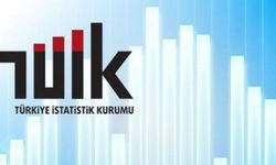 Türkiye İstatistik Kurumu Başkanlığı 4 Sözleşmeli Bilişim Personeli alacak