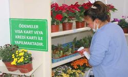 Çankaya'da bitki satış noktasına yoğun ilgi