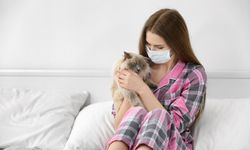 Alerjisi olanlar için kedili bir hayat mümkün