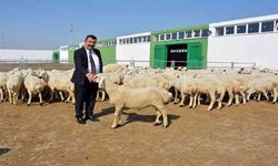 TÜDKİYEB Genel Başkanı Nihat Çelik: "3 milyonun üzerinde küçükbaş hayvan kurban edildi"