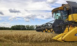 Rusya'da tahıl üretimi 11 milyon ton azaldı