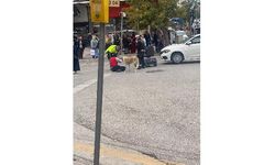 Sokak köpeği otomobilin çarptığı vatandaşın başından ayrılmadı