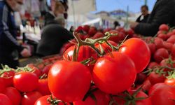 İstanbul'da Kasım ayında en çok domates pahalandı