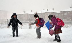 Hangi illerde okullar tatil? Kar yağışı nedeniyle okullar tatil edildi!