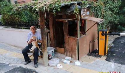 Güvercin ve kedisiyle ayakkabı tamirhanesinde yaşıyor