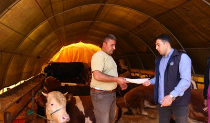 Çankaya Belediyesinin Kurban Satış Alanı hazır