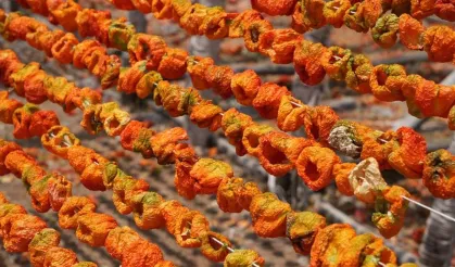 Gaziantep’te kurutmalık sebze sezonu başladı!