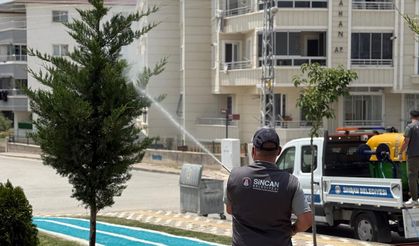 Sincan Belediyesi'nden kene ve sinek önlemi