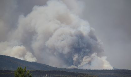 Karabük'te alevler söndü,  geriye yürek yakan manzara kaldı