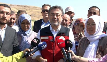 Türkiye, domates üretiminde dünyada 3'üncü sırada