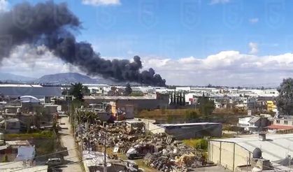 Meksika’da özel uçak düştü: Çok sayıda can kaybı var