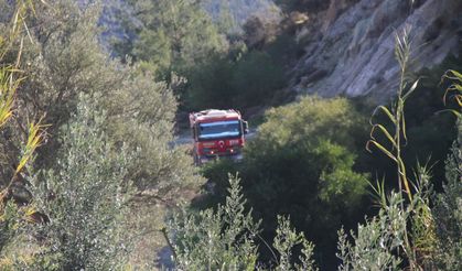 Antalya Serik'te orman yangını