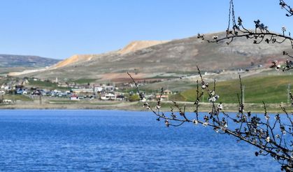 Kızılca Göleti yeniden hayat buldu