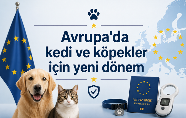 Avrupa'da kedi ve köpekler için yeni dönem