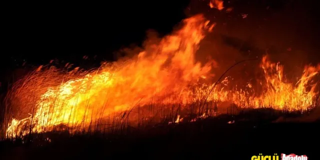 Kanada'da orman yangınları: 110 farklı yerde devam ediyor