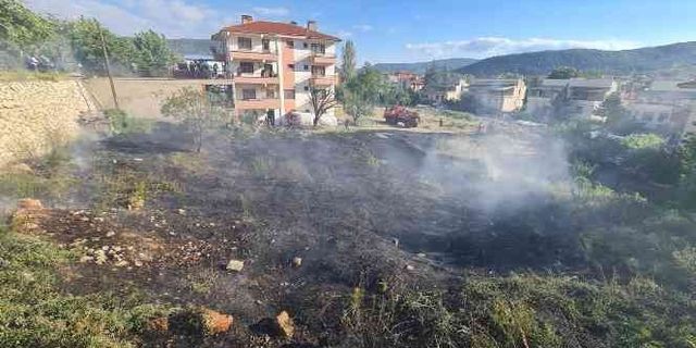 Ankara'da kuru otların tutuşması ile çıkan yangın korkuttu