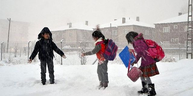Eğitime kar arası: Bitlis’te okullar tatil