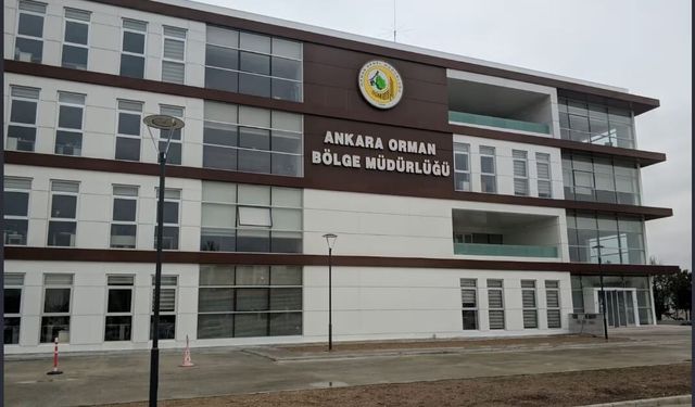 Ankara Orman Bölge Müdürlüğü'nden İlan