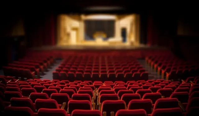 Sinemada seyirci de salon da azaldı
