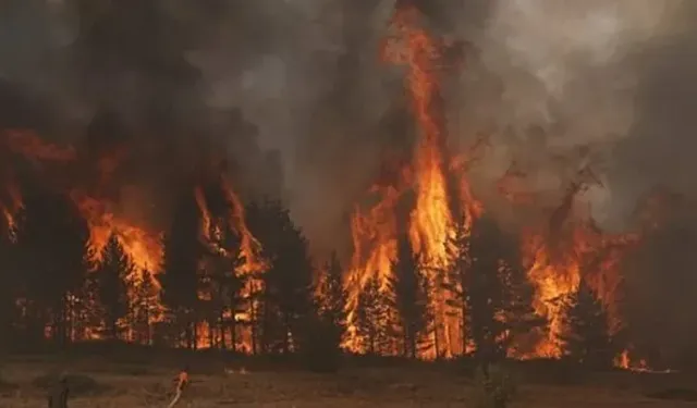 Kızılcahamam yangınıyla ilgili 1 şüpheli gözaltına alındı