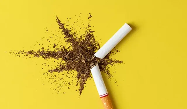 Türkiye’de tütün kullanımı alarm veriyor