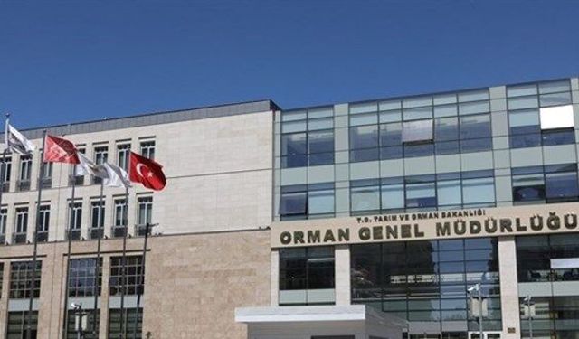 Orman Genel Müdürlüğü Destek Hizmetleri Dairesi Başkanlığı