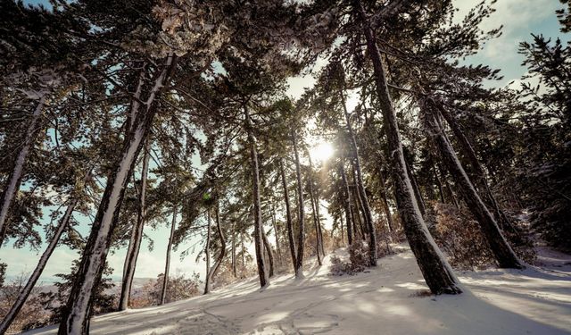 Kızılcahamam'da Kar Manzaraları Kartpostal Gibi