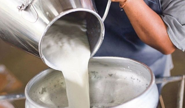 Ulusal Süt Konseyi çiğ süt fiyatını güncelledi