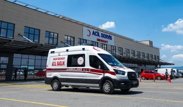 Hayvan otlatırken yıldırımın hedefi oldu