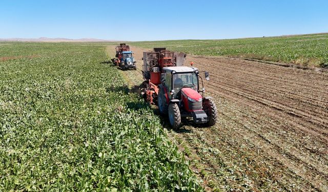 Tarım'da ÜFE ağustosta geriledi: Yıllık artış yüzde 21,91