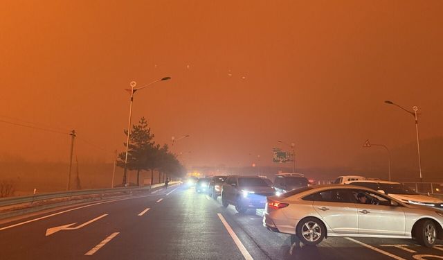 Güney Kore’deki orman yangınları büyümeye devam ediyor!