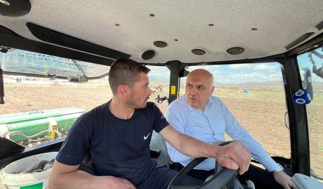 Kızılcahamam’da Karabuğday Üretimi Başladı
