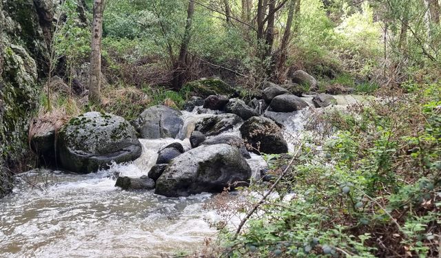 Doğanın kalbinde huzur arayanlara: Kızılcahamam Kral Havuzu