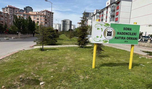 Yenimahalle’ye bahar geldi, temizlik başladı