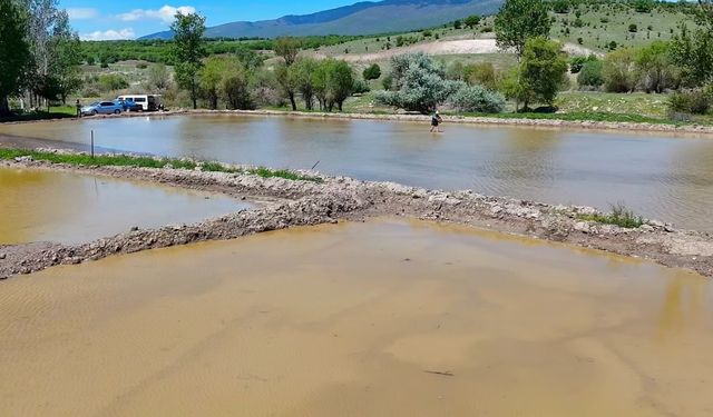 Çeltikçi Pirinci 40 yıl sonra yeniden toprakla