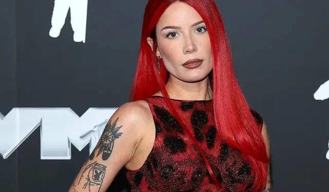 Ünlü şarkıcı Halsey’e konser sırasında uygunsuz davranış