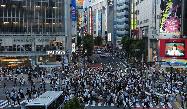 Japonya’da ayı saldırılarının sayısı 230’a ulaştı