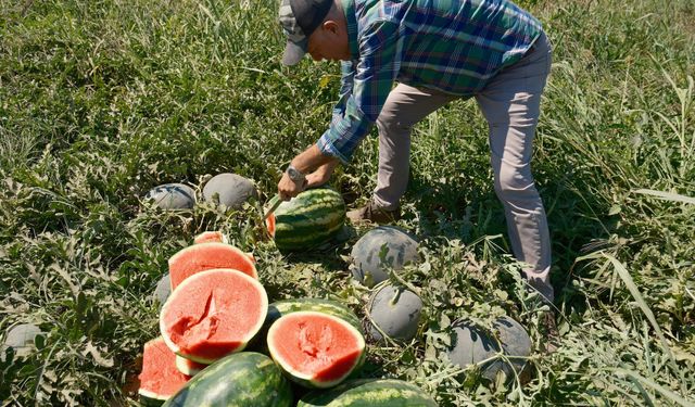 iPhone 17’ye ulaşmak tonlarca ürün satmayı gerektiriyor
