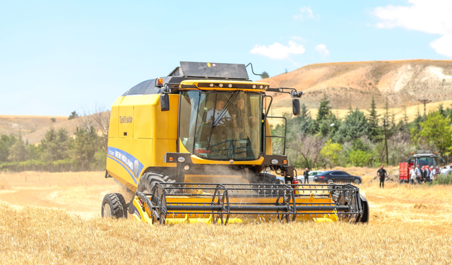 Üreticiler için Sincan’da buğday tohumu başvuruları başladı