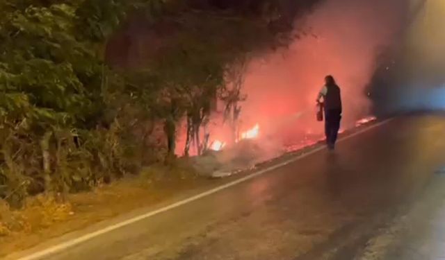 Aydın'da orman yangını alarmı: Vatandaşlara kritik uyarı