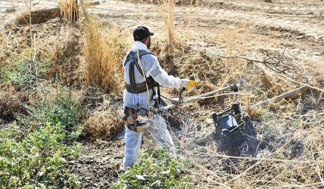 Mamak kırsalında ekolojik canlanma başladı